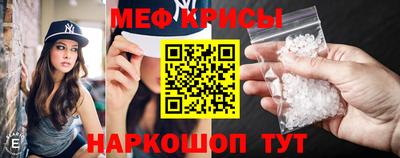 стаф Дубна