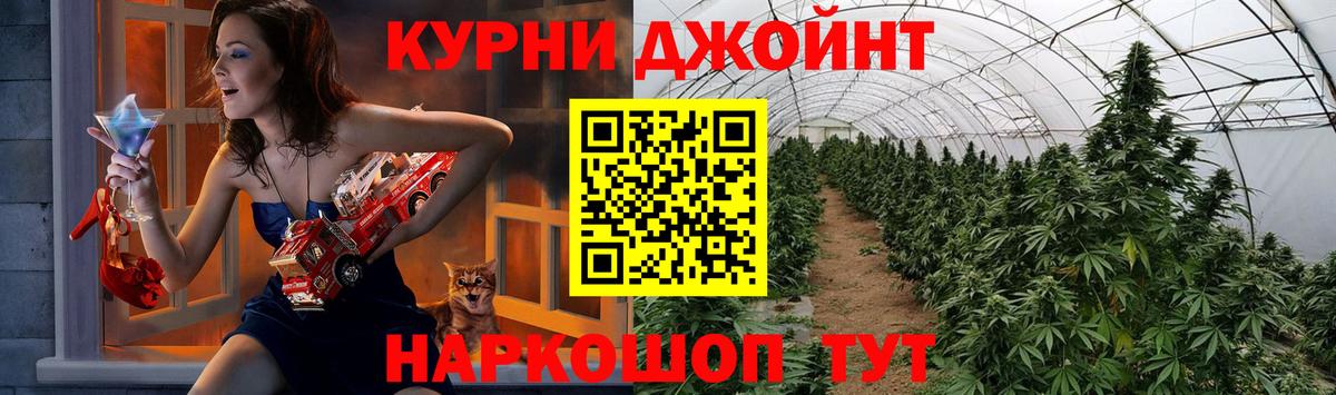 Марихуана гибрид  Вход с VPN  Бошки Шишки конопля  Марихуана White Widow  МАРИХУАНА OG Kush  Нефтекумск 